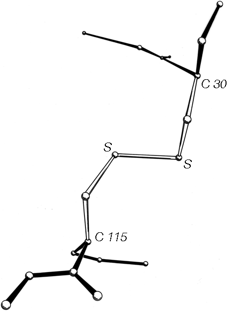 Fig 46
