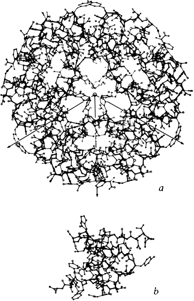 Fig 61