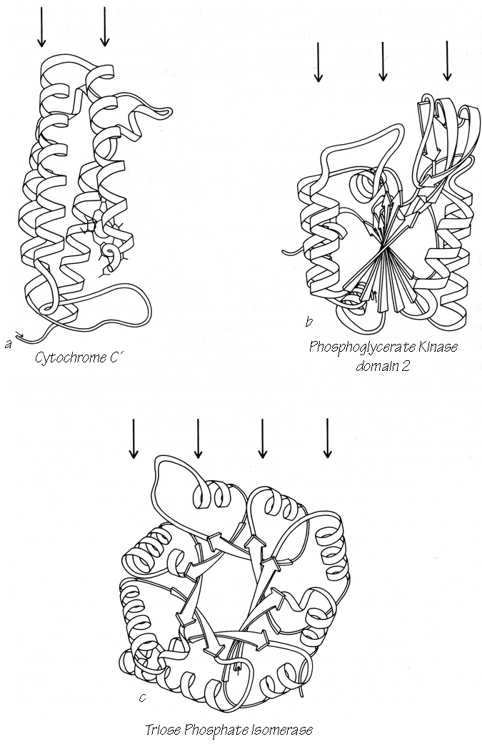 Fig71