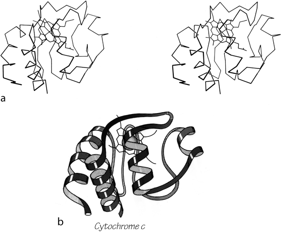 Fig 104